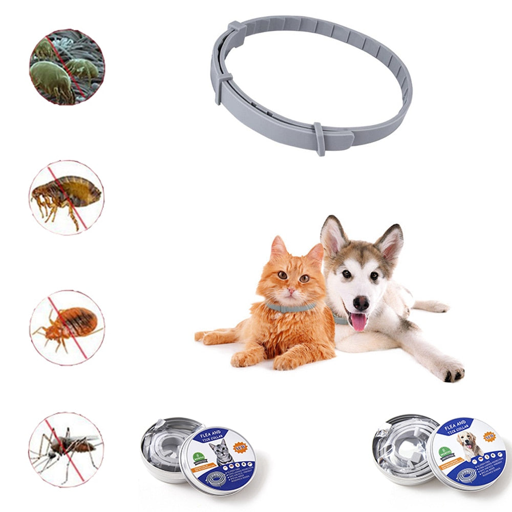 Natural Anti-Flea, Tick, & Mosquito Collar (Advanced Protection)