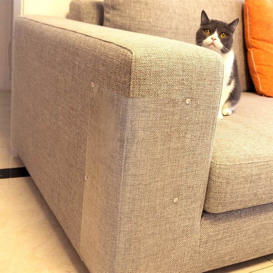 FelineShield - Protects Your Furniture From Cat Scratching