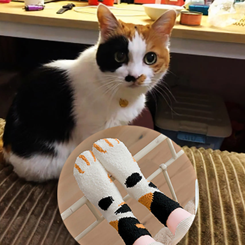 Cat paw sock best sale